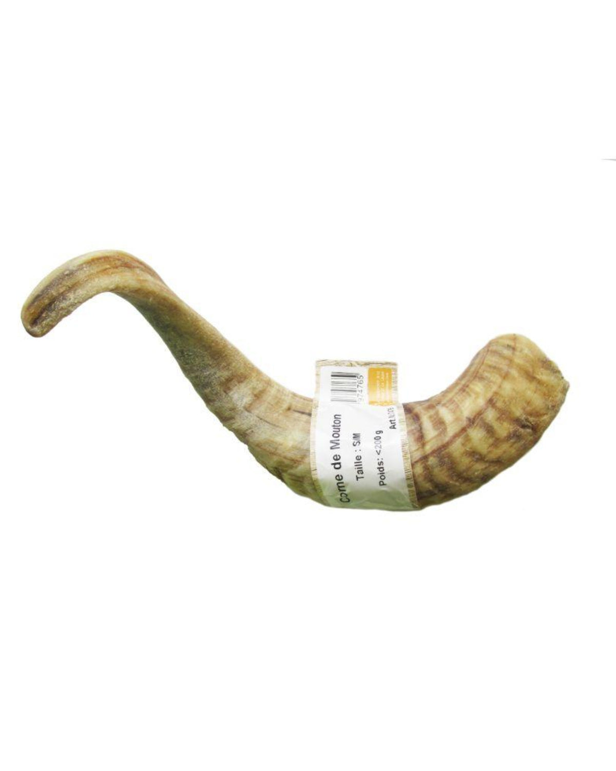 Corne de mouton S/M