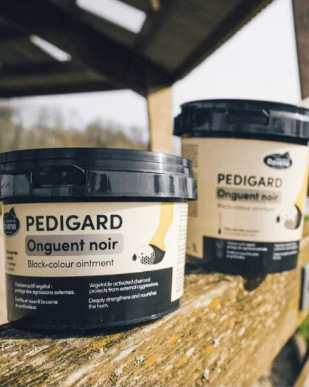 Pediguard Onguent noir 400ml RAVENE